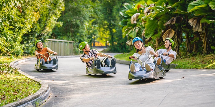 Skyline Luge, địa điểm du lịch Sentosa