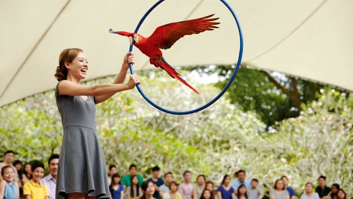 Vui chơi tại Jurong Bird Park, kinh nghiệm đi Jurong Bird Park