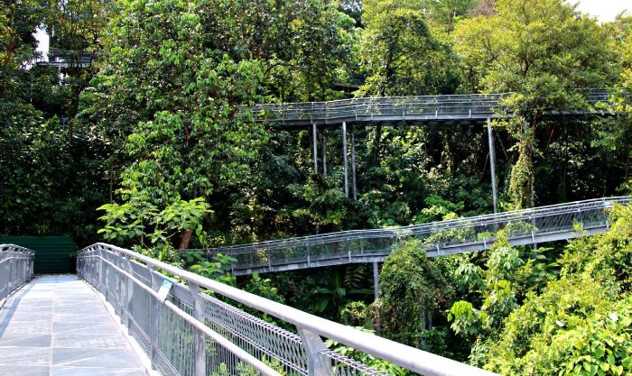Các điểm tham quan miễn phí ở Singapore -Băng qua khu rừng nhiệt đới qua chiếc cầu treo dài 250m. 