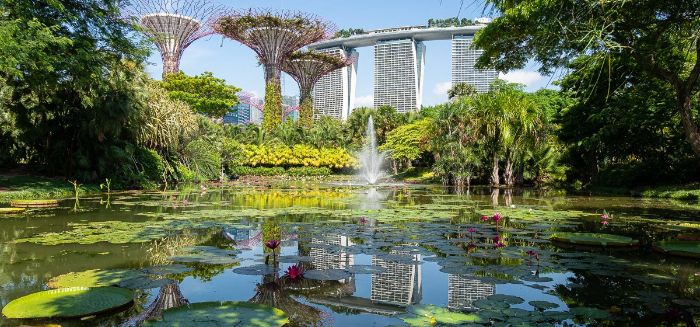 Các điểm tham quan miễn phí ở Singapore -Khu vườn rộng lớn, Gardens by the Bay hơn 101ha. 