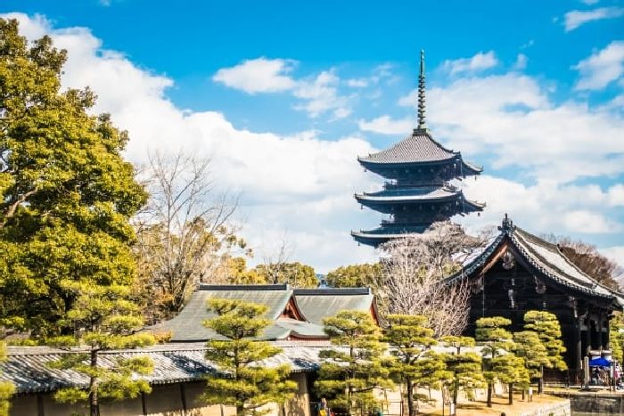 Chiêm ngưỡng vẻ đẹp với niên đại hơn 1000 năm của chùa Toji.