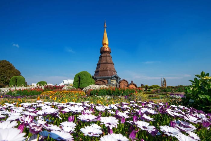 Du lịch Chiang Mai tháng 2 - Nơi ngập tràn sức sống giữa rừng hoa