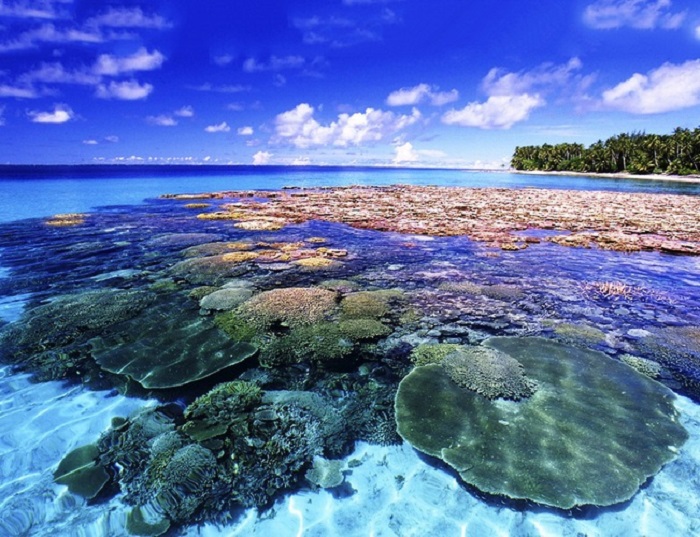 Kinh nghiệm du lịch Thái Lan tháng 11 - Koh Larn đảo san hô