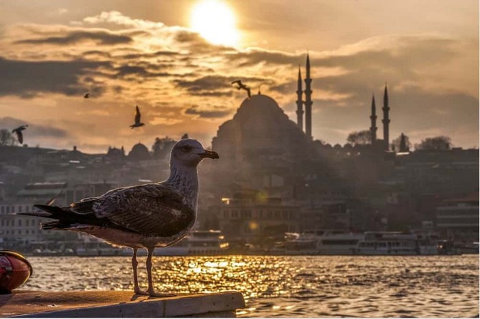 Thổ Nhĩ Kỳ có gì đẹp - Cảnh đẹp tại Istanbul