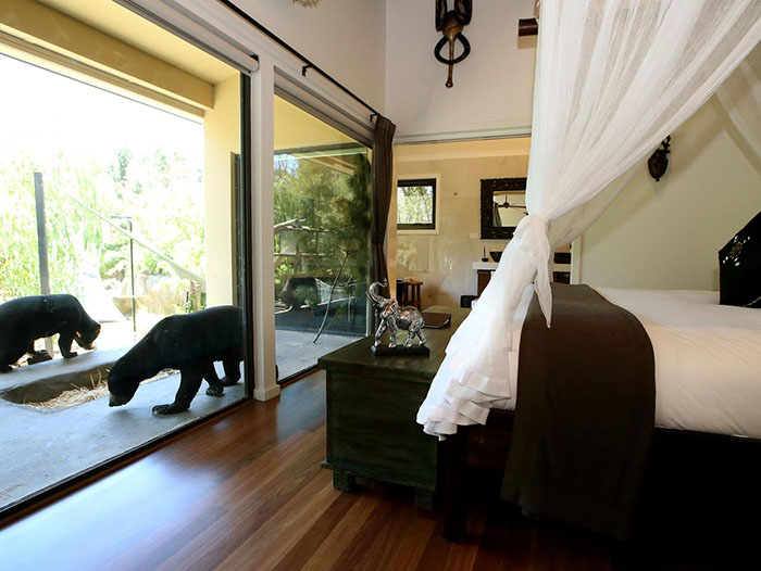 Vườn thú và Thủy cung Quốc gia Úc - Bạn có muốn trải nghiệm một khách sạn như thế này không