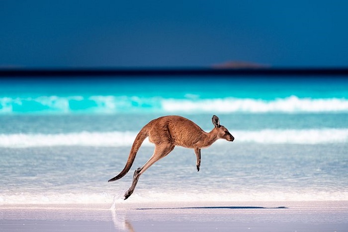 Vịnh Lucky, Tây Úc - bãi biển Úc