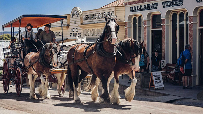 Đồi Sovereign - Trải nghiệm tour xe ngựa kéo vòng quanh thị trấn