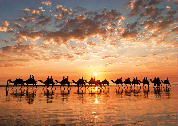 Du lịch Úc mùa hè -Khung cảnh cưỡi lạc đà ngắm hoàng hôn trên biển tuyệt đẹp