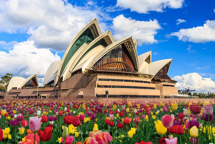 Kinh nghiệm du lịch Úc mùa xuân - Lễ hội hoa tulip tại Bowral