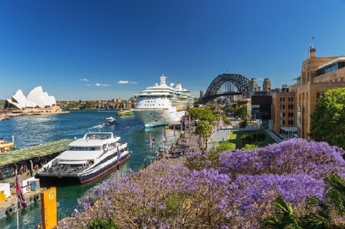 Kinh nghiệm du lịch Úc mùa xuân -Vẻ đẹp của nước Úc nổi bật với những loại cây màu tím