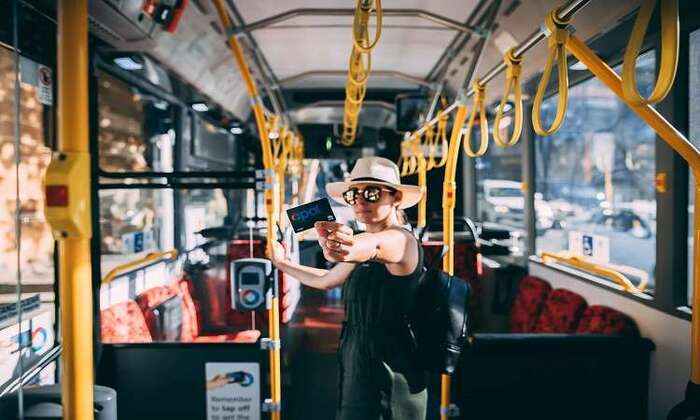 Kinh nghiệm du lịch Sydney mùa đông - Xe buýt là phương tiện công cộng được yêu thích