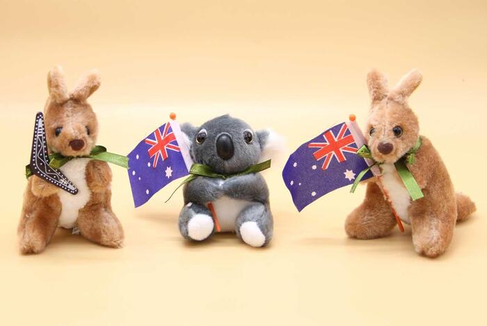 Kinh nghiệm mua sắm ở Úc - Những chú gấu bông hình kangaroo, koala