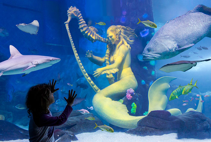 Thủy cung Melbourne - Bức tượng nàng tiên cá trong bể kính