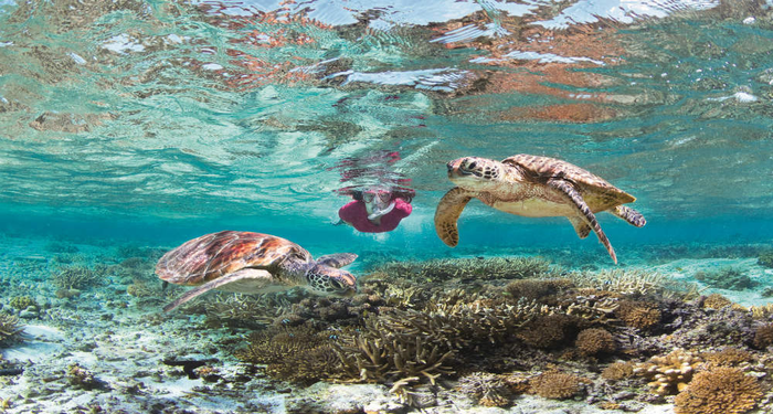 Queensland nổi tiếng với rạn san hô kỳ vĩ