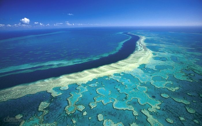 Công viên biển Barrier Reef.