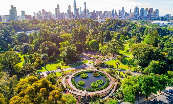 Du lịch Melbourne mùa thu - Toàn cảnh vườn bách thảo Hoàng gia