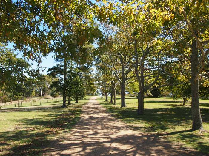 Du lịch Melbourne mùa thu - Lối đi ở Seawinds Gardens. 