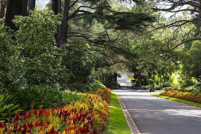 Du lịch Melbourne mùa thu - Lối đi tại vườn Fitzory