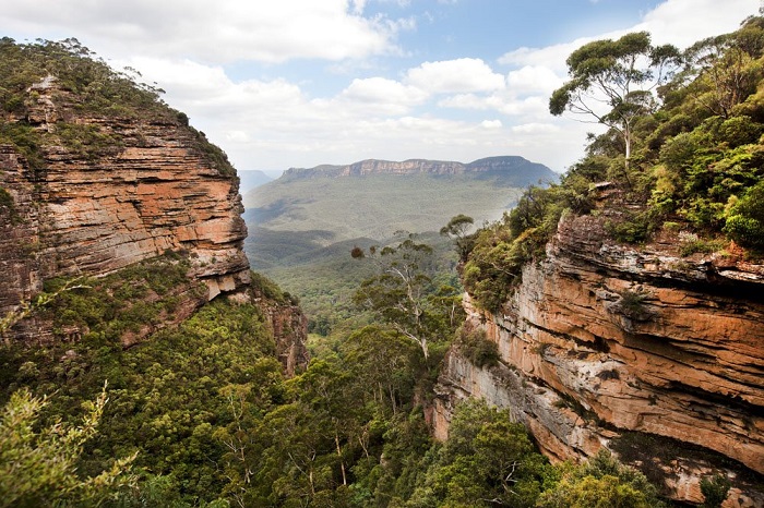 Vẻ đẹp của công viên Blue Mountains