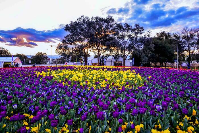 Lễ hội hoa Floriade ở Úc - Lễ hội hoa Floriade được coi là lễ hội lớn nhất, quy mô nhất trên toàn nước Úc