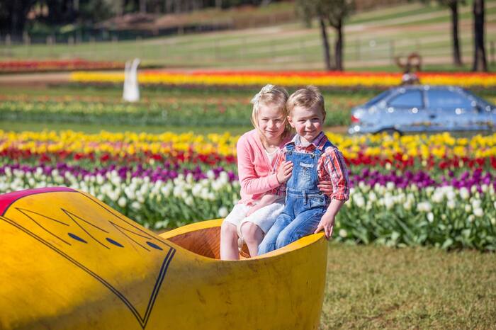 Lễ hội hoa tulip tại Úc - Trẻ em khắp nơi trên thế giới thích thú "check-in" tại lễ hội hoa tulip. 