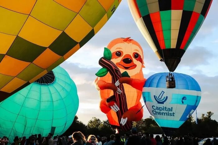 lễ hội khinh khí cầu Úc - Chiếc khinh khí cầu được tạo hình chú gấu koala ôm cây đáng yêu.