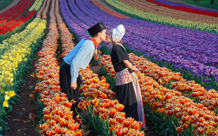 Lễ hội hoa tulip tại Úc - Thời điểm nước Úc đón xuân về cũng là lúc lễ hội hoa tulip Tesselaar thu hút nhiều du khách nhất.