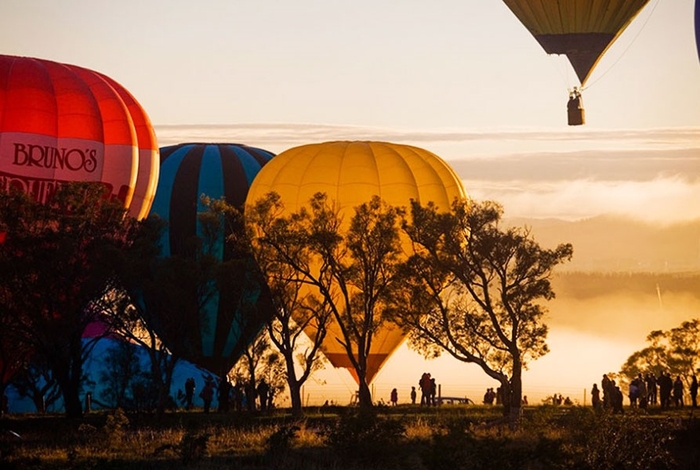 lễ hội khinh khí cầu Úc - Nhiều người sẵn sàng thức dậy từ trước khi mặt trời mọc để chứng kiến giai đoạn những chiếc khinh khí cầu lần lượt thay phiên bay lên bầu trời thành phố