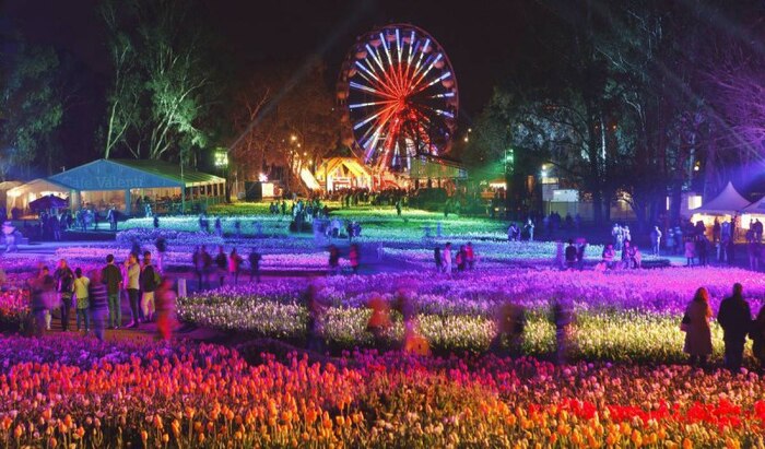 Lễ hội hoa Floriade ở Úc - Hiệu ứng ánh sáng độc đáo tại lễ hội hoa Floriade