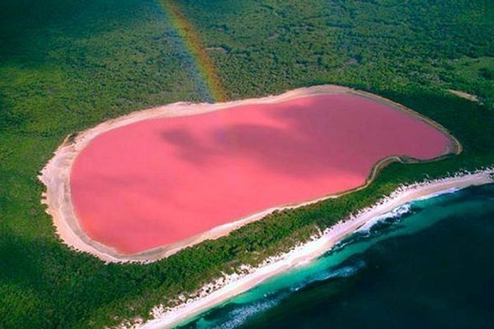 Cảnh đẹp nước Úc - Đến Lake Hiller bạn sẽ phải sững sờ với sắc hồng bắt mắt thu hút mọi ánh nhìn ở nơi đây. 