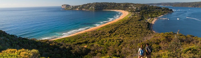 Bãi biển đẹp ở Sydney - Vẻ đẹp kiêu sa của bãi biển Palm khi nhìn từ xa