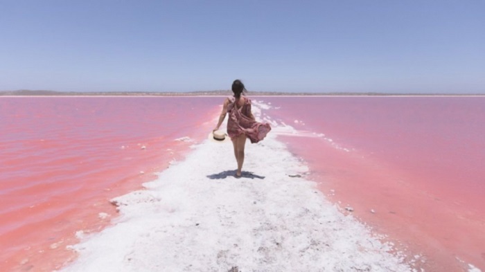 Cảnh đẹp nước Úc - Bí ẩn về sắc hồng độc đáo