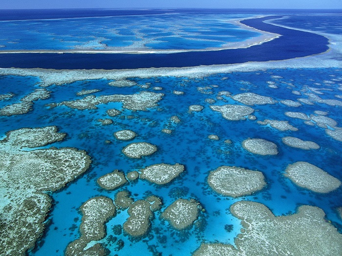 Cảnh đẹp nước Úc - Great Barrier Reef Marine Park là công viên biển đa chức năng cực kỳ rộng lớn