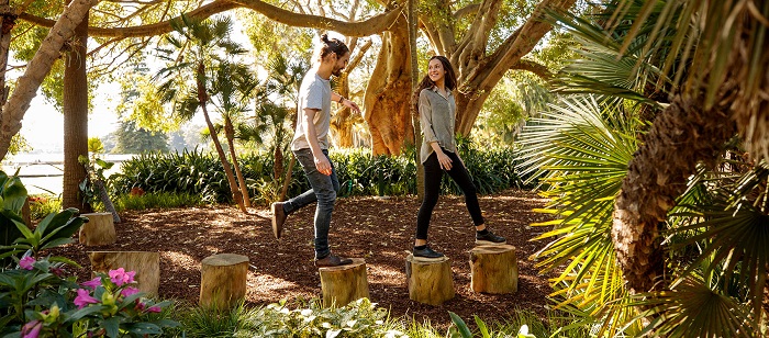 Không gian vườn Bách thảo Hoàng gia – Botanic Garden Sydney