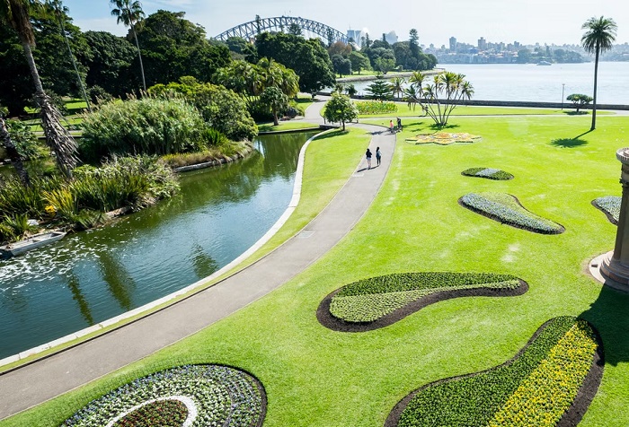 Thông tin vườn Bách thảo Hoàng gia – Botanic Garden Sydney