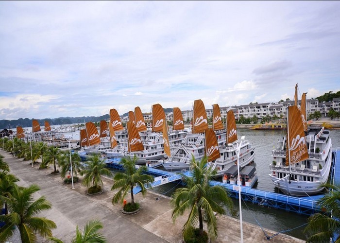  Cảng du thuyền Tuần Châu