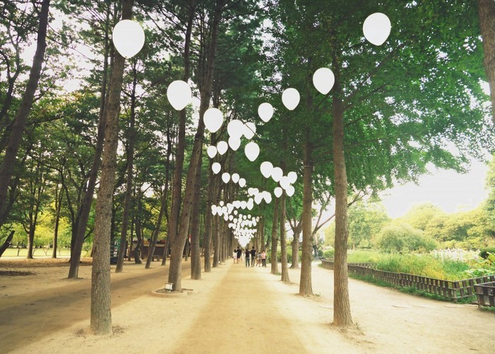 Đảo Nami - Hàn Quốc