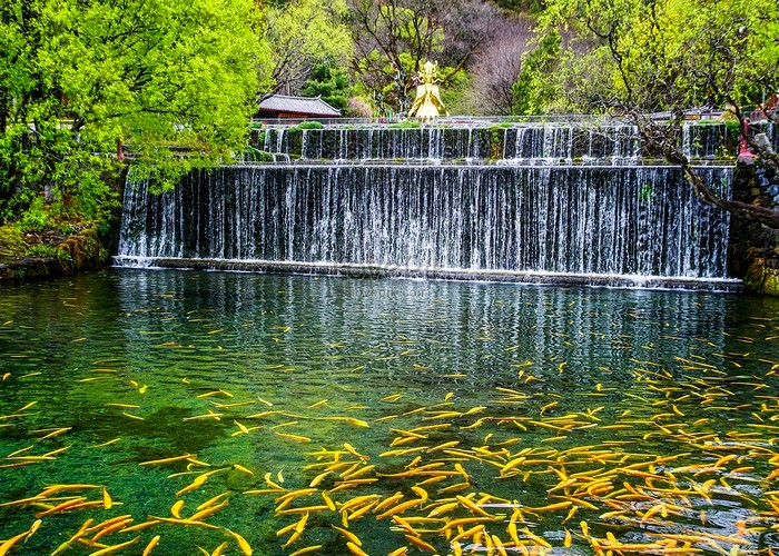 Ngọc Thủy Trại Lệ Giang