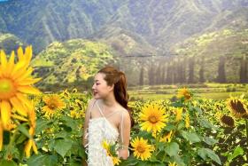 Chia sẻ kinh nghiệm du lịch Củ Chi cho những ai lần đầu đến