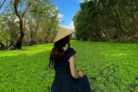 Tour Miền Tây 3 ngày 2 đêm từ Cần Thơ có gì mà khiến fan xê dịch mê mẩn?