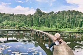 Du lịch gần Sài Gòn nên đi đâu? Điểm danh 4 điểm đến sáng giá nhất