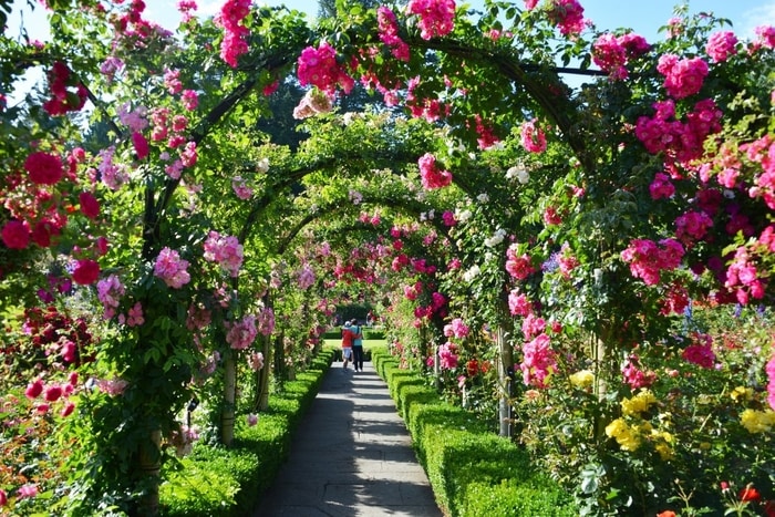 Vườn Butchart tour Canada