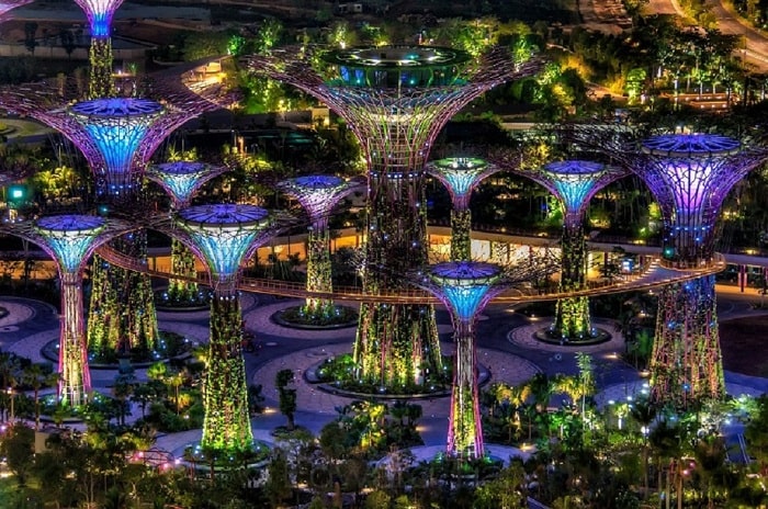 Garden by the Bay