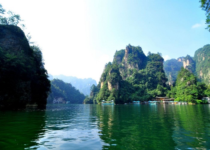 Hồ Bảo Phong, Trương Gia Giới