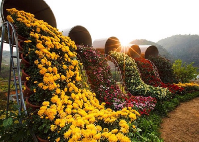 Khu du lịch Lovegarden - Mộc Châu