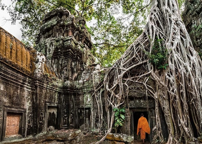 Ta Prohm Siem Riep