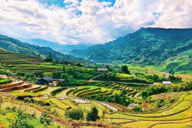 Ruộng bậc thang Sapa