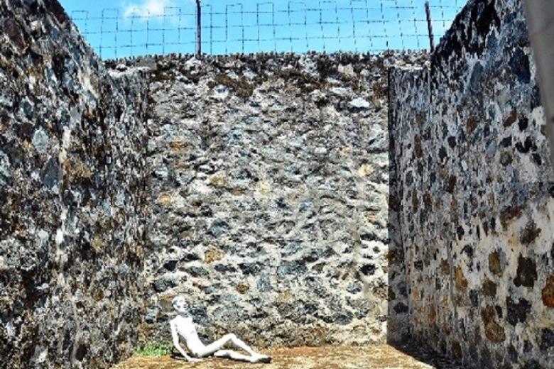 chuồng cọp kiểu pháp