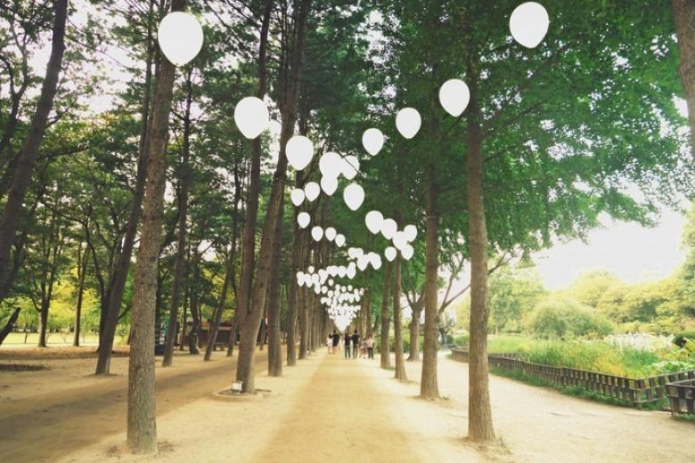 Đảo Nami Hàn Quốc