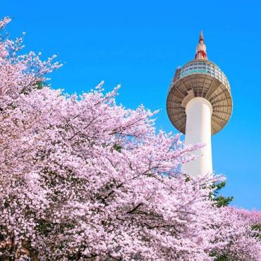 Tour Hàn Quốc 5N4Đ: Từ Hà Nội - Seoul - Nami - Everland - Ngắm Hoa Anh Đào Công Viên Yeouido, Bay VN + KS 4* ( Sáng - Sáng)